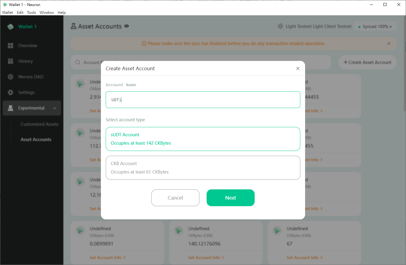 Asset Account